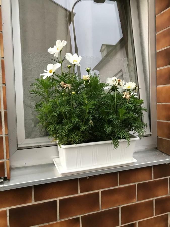 הוילה קובלנץ Ferienhaus Loehr Mit Treppenlift מראה חיצוני תמונה